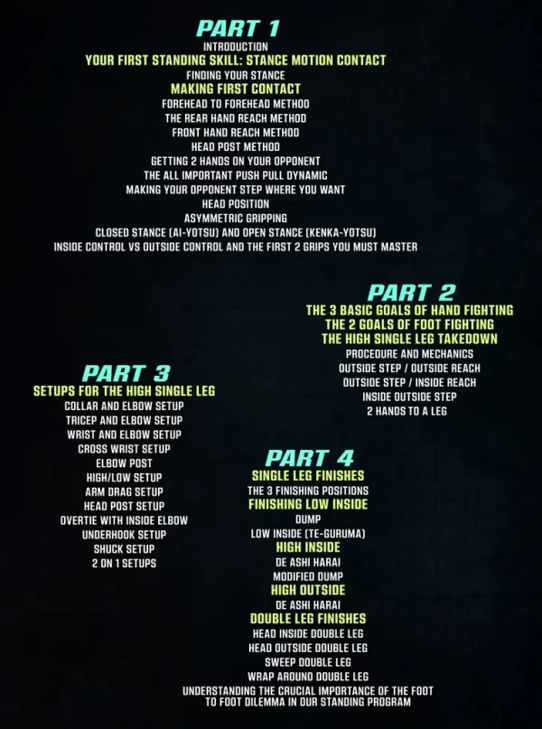The Fastest Way To Becoming Effective In Standing Position John Danaher - Imagen 2