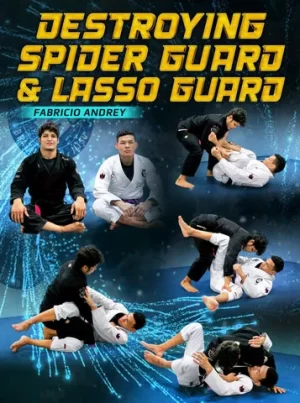 Fabricio Andrey - Destroying Spider Guard & Lasso Guard