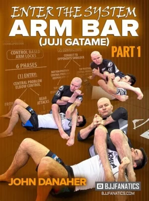 Enter The System: Armbar By John Danaher