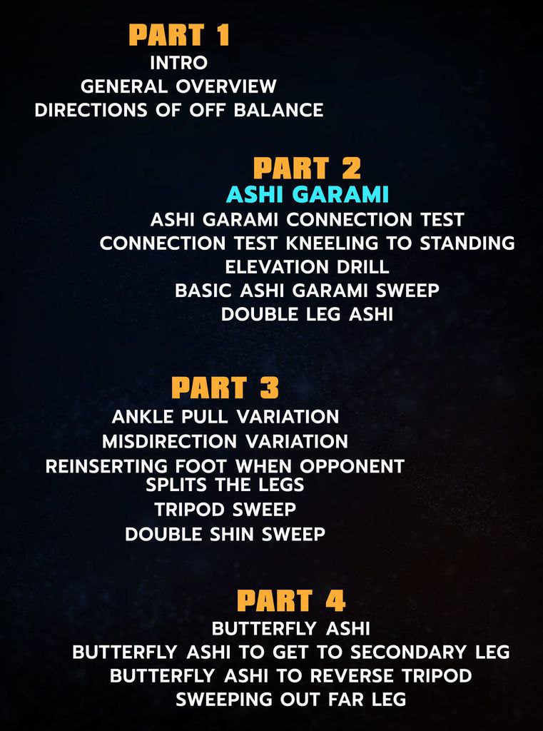 Giancarlo Bodoni Efficiently Executing Ashi Garami - Imagen 2